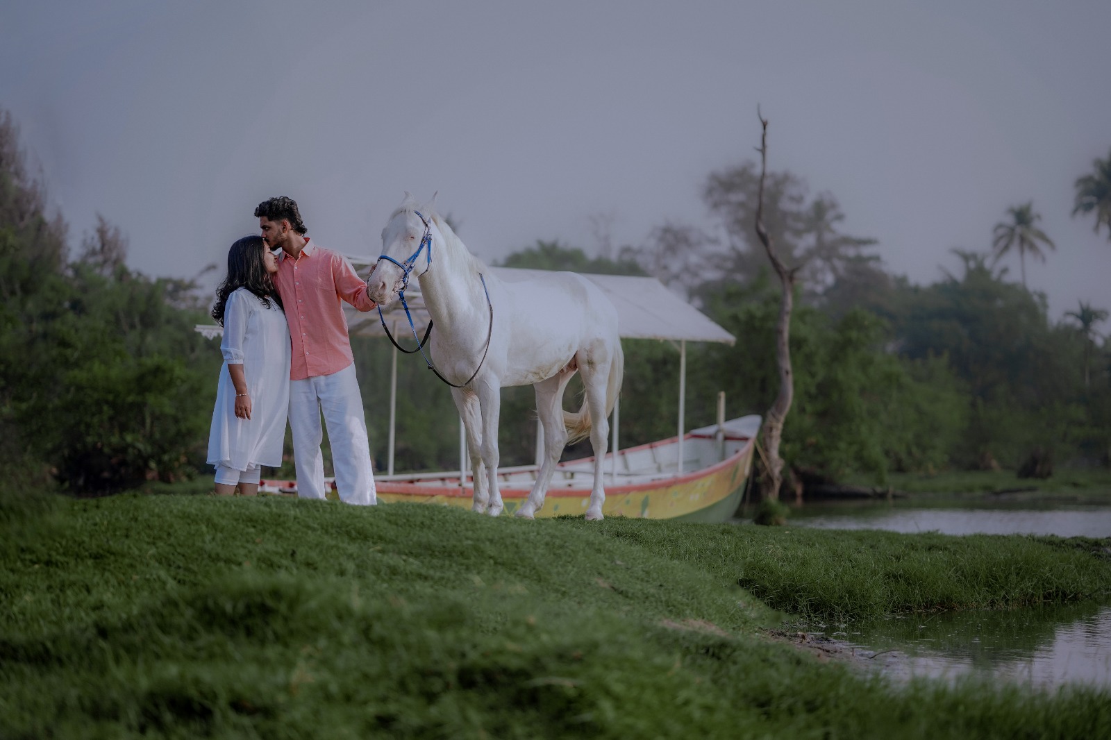 a forest after an apocalypse